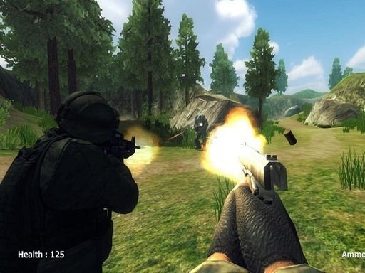 Play FPS Shooting Survival Sim Online