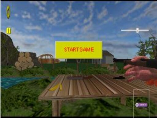 Play west shooter Online