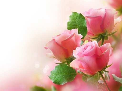 Play Pink Roses Puzzle Online