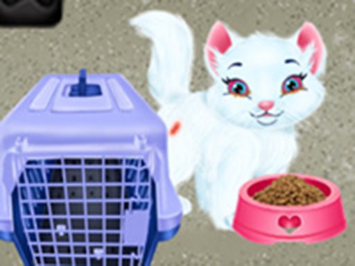 Play Baby Taylor Pet Care - Save Cute Animals Online