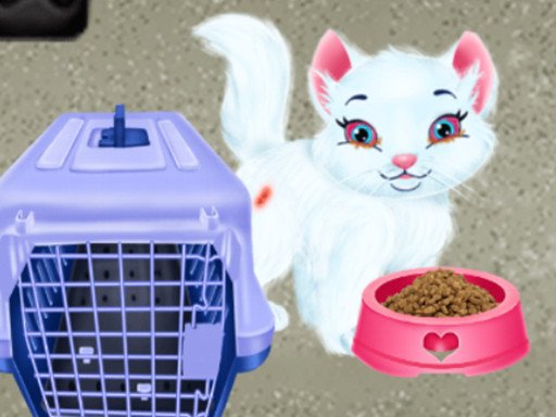 Play Baby Taylor Pet Care Online