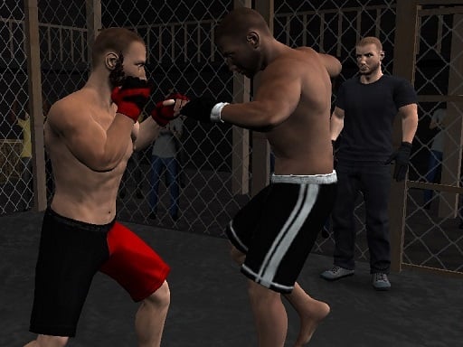 Play Undisputed MMA Online
