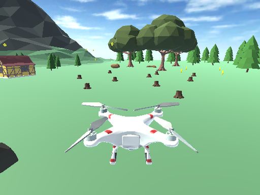 Play Drone Simulator Online