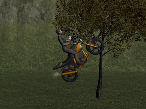 Play Mountain Bike Rider Online