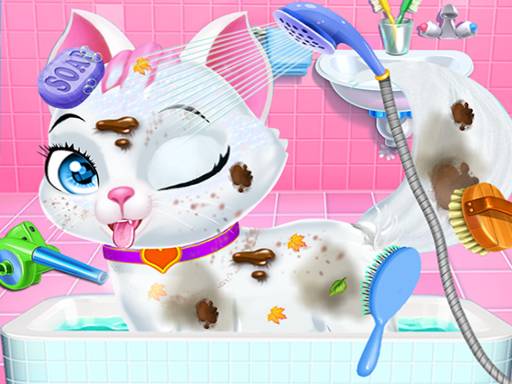 Play Pet Vet Care Wash Feed Animals - Animal Doctor Fun Online