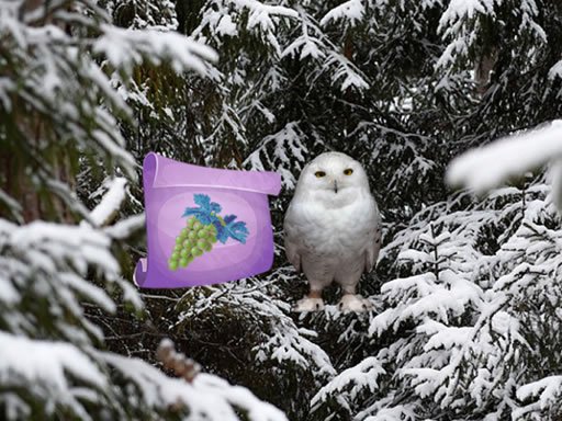 Play Winter Wonderland Forest Adventure Online