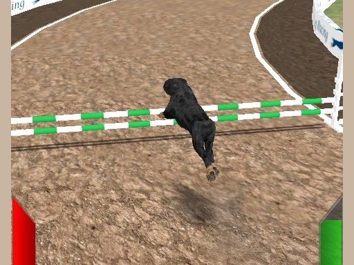 Play Crazy Real Dog Race Online