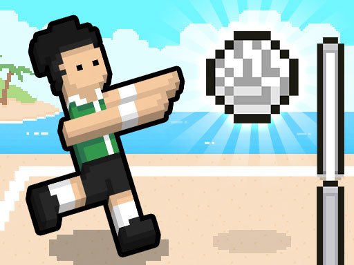 Play Volley Random Online