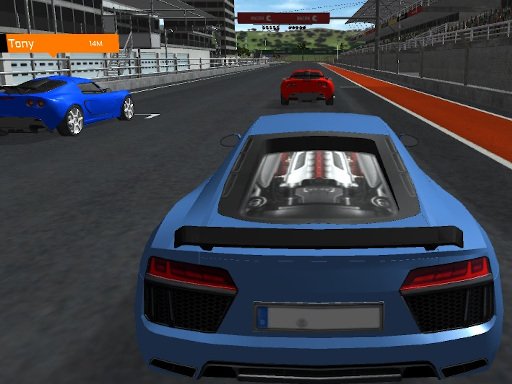 Play Racer 3D Online