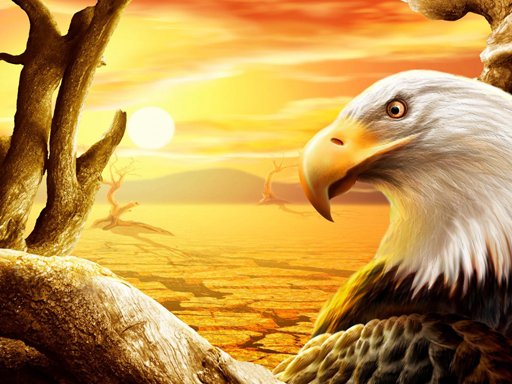 Play Eagle Slide Online