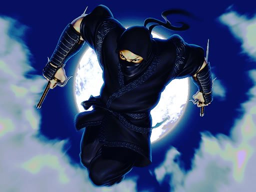 Play Ninja Defender Online