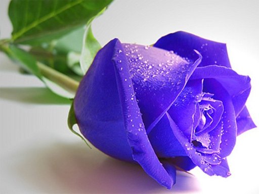 Play Blue Roses Puzzle Online